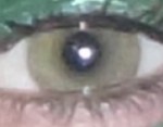 Ein grünes Auge