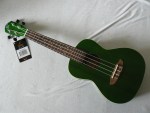 Ukulele in Grün