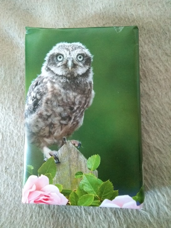 Kauz eines Eulenkalenders als Geschenkverpackung