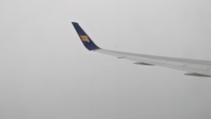 Flügelspitze vor weißem Hintergrund