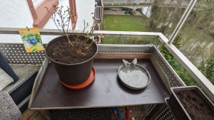 Der Pflanztisch mit Vogelbad/tränke rechts und rundem Blumenzopf mit Heidelbeerpflanze links, auf neuem Plattenuntergrund.