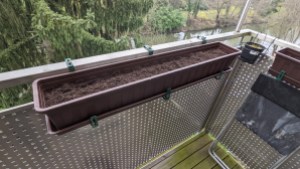 Ein 100cm-Blumenkasten gefüllt mit Erde, am Balkongeländer angebracht.