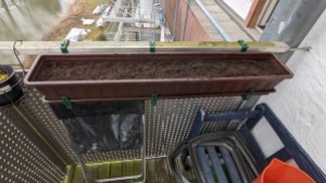 Ein 100cm-Blumenkasten gefüllt mit Erde, am Balkongeländer angebracht.