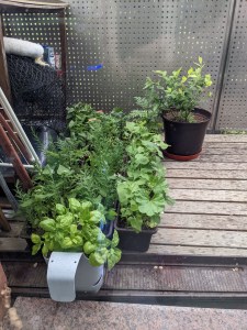 Blumenkästen mit Pflanzen auf dem Balkonboden zusammen gestellt, als Schutz gegen starke Windböen