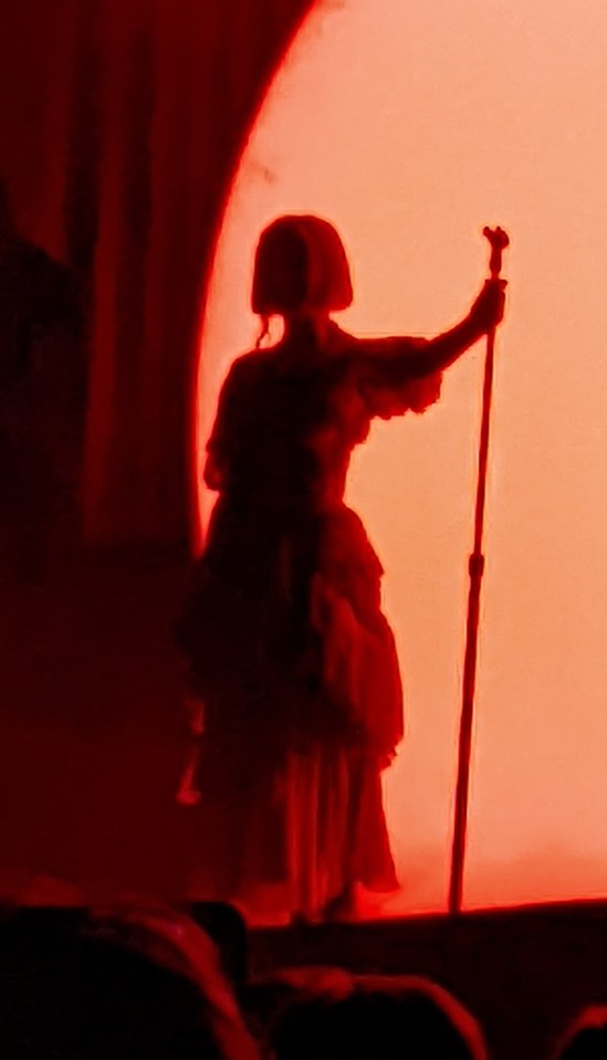 Aurora als Silhouette mit Mikrofonständer in der linken Hand vor einem großen rötlich leuchtenden Ausschnitt eine Kreises - herangezoomt