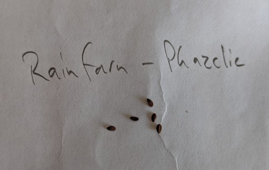 Schriftzug "Rainfarn-Phazelie" darunter ein paar Samen