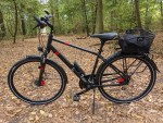Carlos - mein schwarzes Herrenfahrrad mit roten Stellen, angebrachtem Fahrradschloss, Tacho und Korb auf dem Gepäckträger im Wald