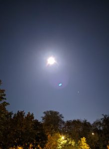 Vollmond und Jupiter über Wald
