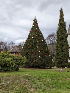 Ein größerer Baum ist mit Weihnachtskugeln und Stern geschmückt.