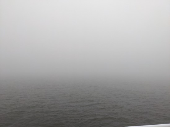 Eine Wasserfläche, auf der Nebel liegt. Es ist kein Übergang von Wasser zum Nebel zu erkennen.