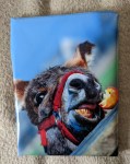 Geschenkverpackung Ein Esel, der versucht, an einen angebissenen Apfel zu kommen