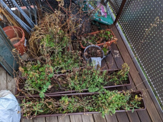 Blumenkästen mit grünen und vertrockneten Pflanzen zusammengestellt auf dem Balkonboden
