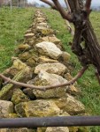 Eine Mauer aus gestapelten Bruchsteinen auf einer Wiese