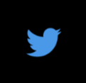 Das alte Logo von Twitter - ein blauer Vogel als Umriß.