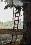 Requisiten für den Sommernachtstraum: Eine Leiter und eine Strickleiter am Baum im Bockshof