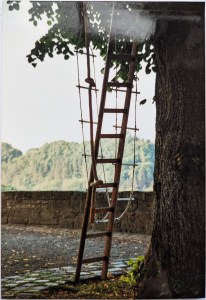 Requisiten für den Sommernachtstraum: Eine Leiter und eine Strickleiter am Baum im Bockshof