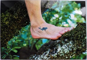 Haitattoo auf den Fussrücken einer Kollegin, die in einem Baum sitzt