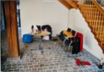 Garderobenbereich in Schiltach - mehrere Stühle, auf denen Klamotten liegen und ein Tisch, der beladen ist.
