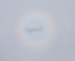 Schatten des Flugzeugs in rundem Regenbogen auf den Wolken