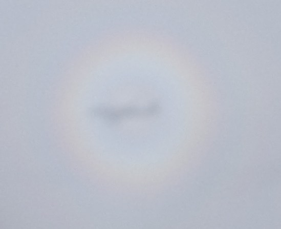 Schatten des Flugzeugs in rundem Regenbogen auf den Wolken