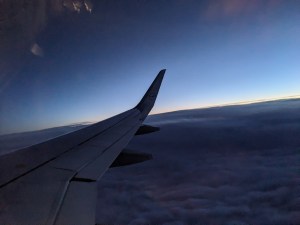 Flügelspitze gegen den noch hellen Horizont nach Sonnenuntergang