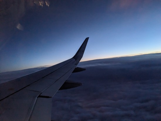 Flügelspitze gegen den noch hellen Horizont nach Sonnenuntergang