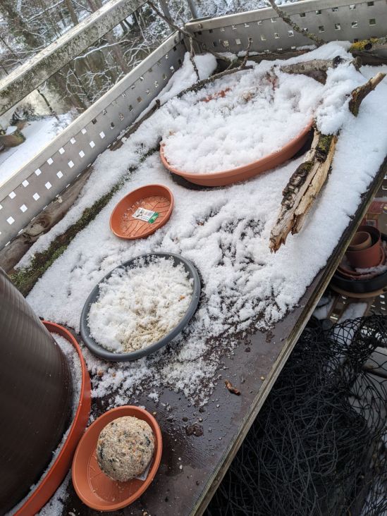 Oberfläche des Pflanztischs im Winter. Die Schneedecke ist durch Vogelspuren zerwühlt