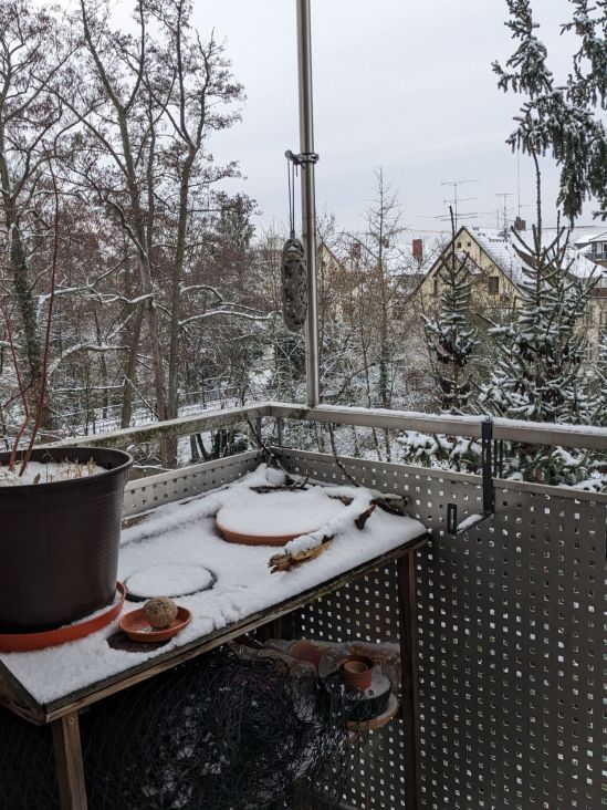 Blick auf Pflanztisch auf dem Balkon, schneebedeckt. Im Hintergrund sind schneebedeckte Hausdächer und Bäume zu sehen. Winterstimmung An der senkrechten Stange des Balkongeländers im Mittelpnkt des Bildes hängt ein Vorrichtung, in der drei Meisenknödel für Vögelk erreichbar sind. Links auf dem Pflanztiusch ist auch ein kleiner Untersetzer, in dem ein Meisenknödel frei herumliegt.