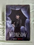 Blechschild mit dem Motiv zur TV-Serie "WEDNESDAY" Wednesday Addams im Regen unter ihrem schwarzen Regenschirm Darüber steht From the Imagination of TIM BURTON