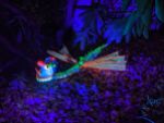 Schwarzlicht-Drachen-Libelle (?) bei den Winterlichtern