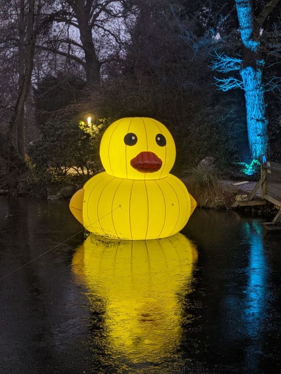 beleuchtete große Ente auf teilweise zugefrohrenem See