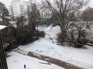 Blick aus dem Fenster auf eine verschneite Fläche mit Fußspuren, Bäumen und etwas geräumten Weg.