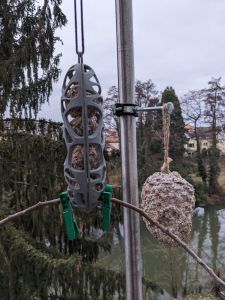 Hängender Meisenknödelhalter mit Knödeln, daneben hängt ein Vogelfutter-Pinienzapfen