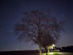 Ein Baum in der Nacht. Darunter ein Fußweg mit Laterne, darüber mehrere Sterne.