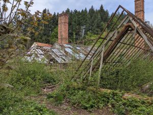 Verfallene Gewächshäuser