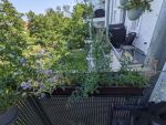 wuchernder Balkon-Blumenkasten