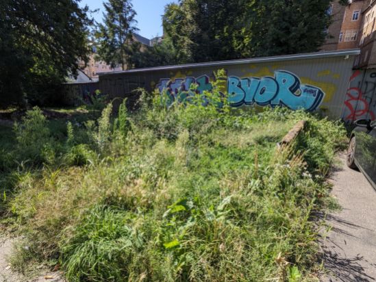 wucherndes Grün vor den Garagen, fast so hoch wie die Garagen
