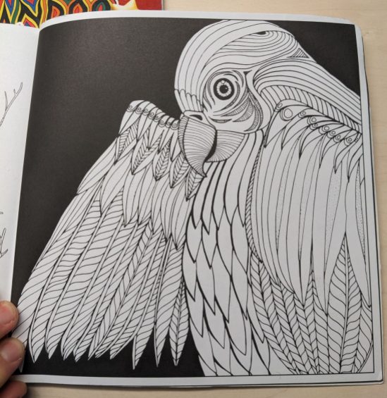 Papgeienbild unausgemalt in Schwarz-Weiß