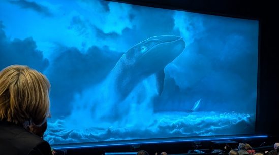 Leinwand im Theater, darauf ein gezeichneter springender Wal